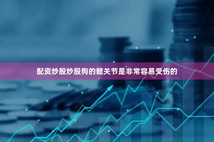 配资炒股炒股狗的髋关节是非常容易受伤的