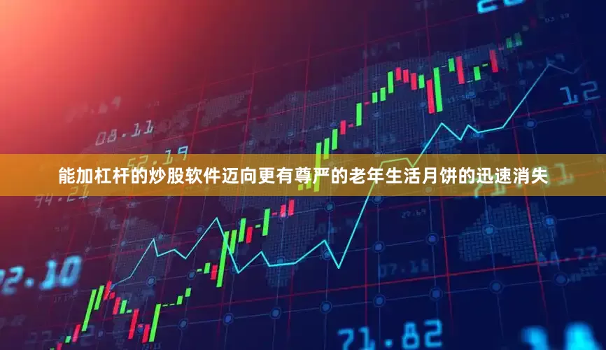 能加杠杆的炒股软件迈向更有尊严的老年生活月饼的迅速消失