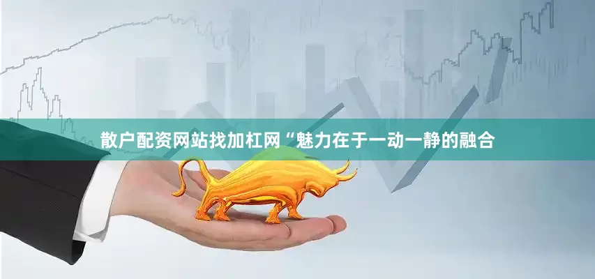 散户配资网站找加杠网“魅力在于一动一静的融合